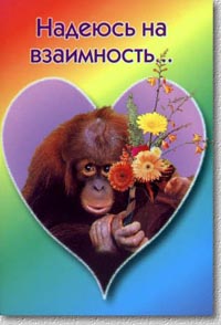 Открытки с взаимностью 9